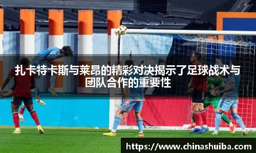 xk体育官网
