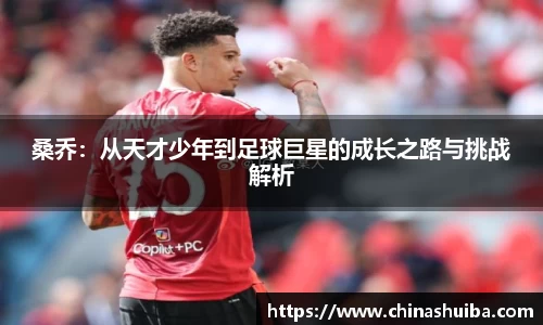 xk体育官网